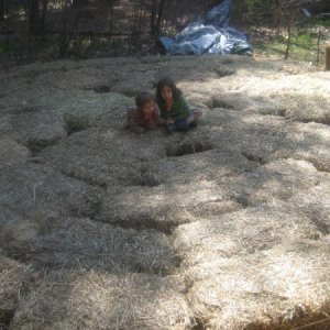 The kids helping us pack in the strawbales for the base