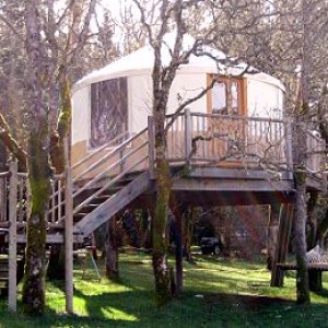 yurt tree house gust refuge