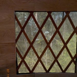 Window
