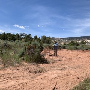 IMG 0792
