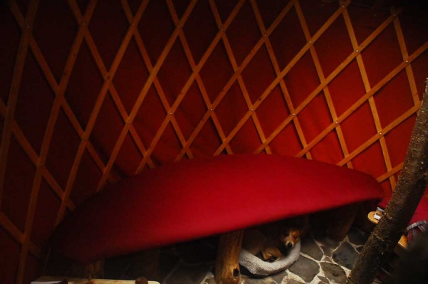 8'X3' Bed made to fit yurt wall curviture.