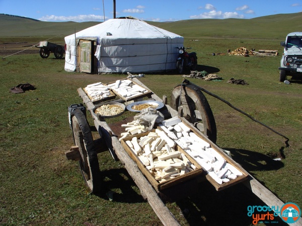 cheese drying in front a a 5-walls ger in Mongolia