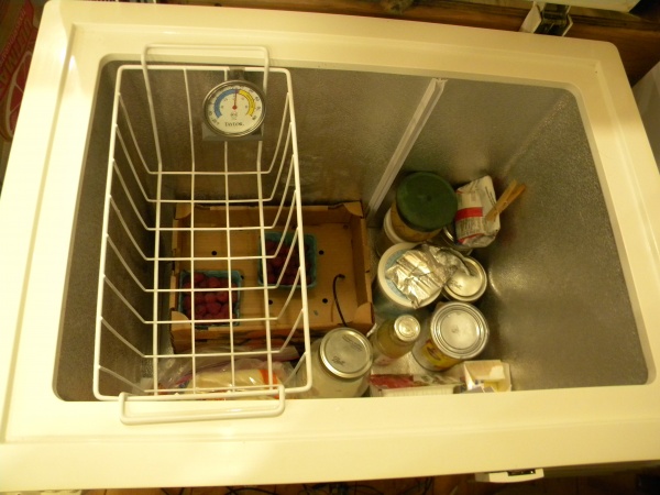 Chest Fridge, inside