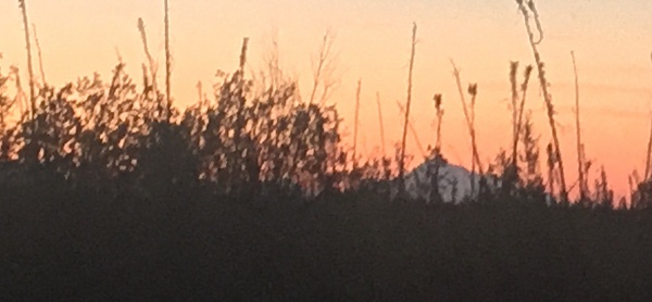 Denali
The tallest mountain in North America. At midnight out our front door.