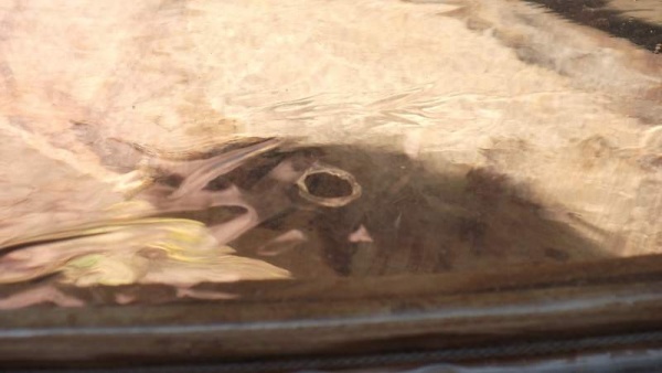 DSCF0870