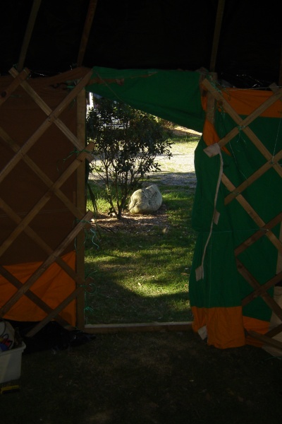 First yurt build (3)