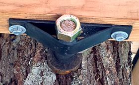 garnier fixed beam bracket 50 bucks