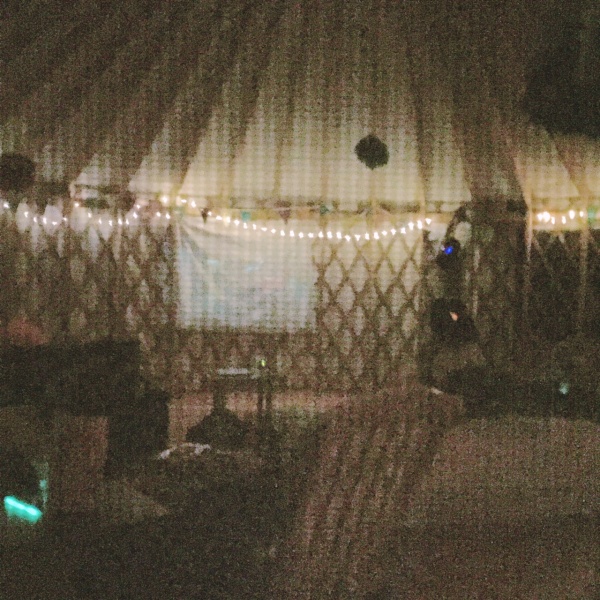 grainy picture through the screen door at night.  but you can see the twinkle lights, tissue paper tuffs & bunting. The white sheet is hung so they co