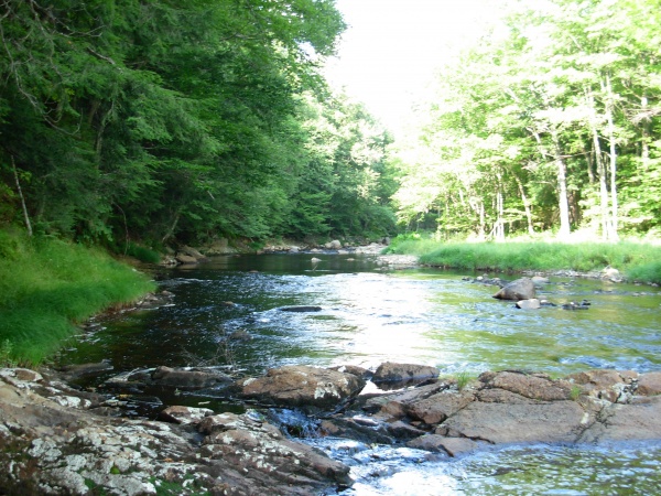 Here is another shot of the Black River