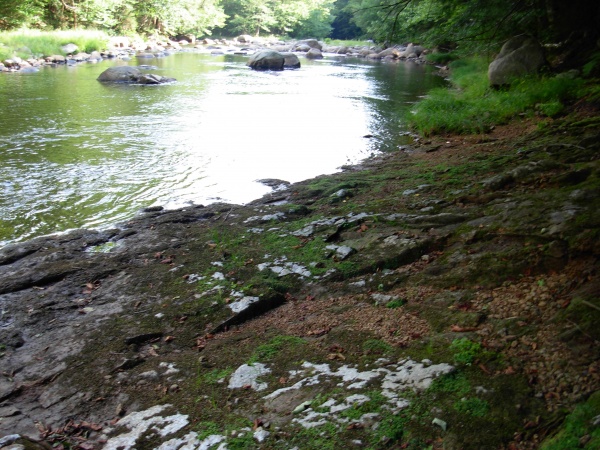 Here is where I swim and cool off.  This is the edge of my lot right on the Black River.  Not another human around for miles! :)