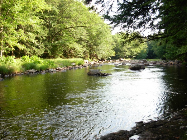Here is where I swim and cool off.  This is the edge of my lot right on the Black River.  Not another human around for miles! :)