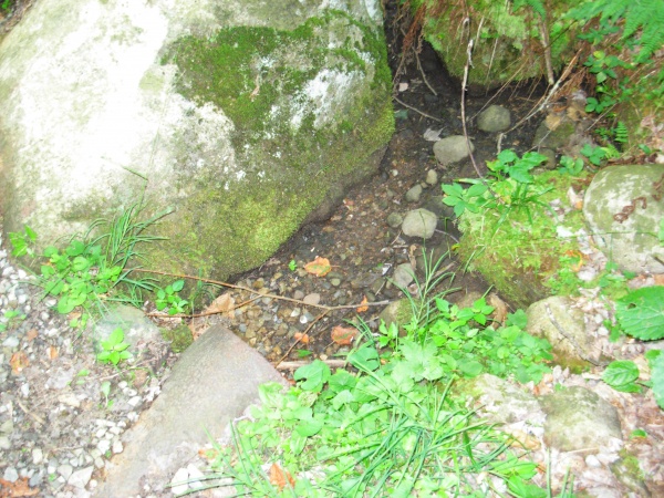 It is so dry here this season the little streams that are normally flowing are dry.