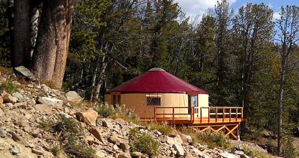 shelter design
