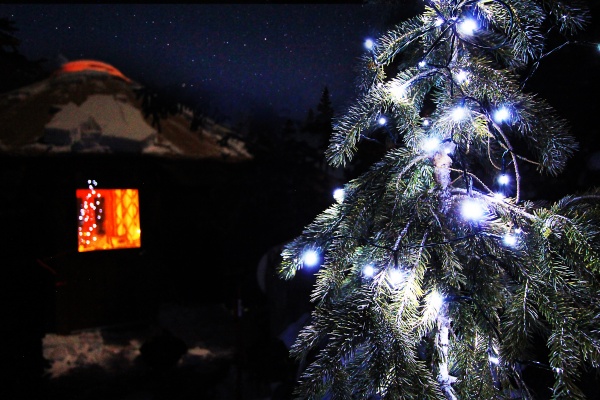 Solar Christmas Lights on the little tree outside the yurt.