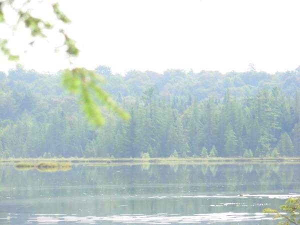 Stone Dam Lake, which is close to my camp.