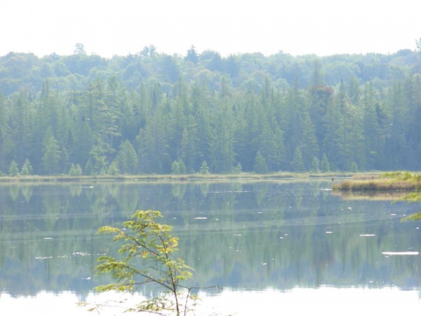 Stone Dam Lake, which is close to my camp.