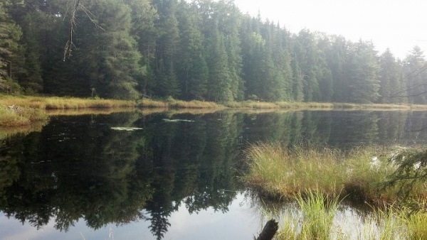 Stone Dam Lake, which is close to my camp.