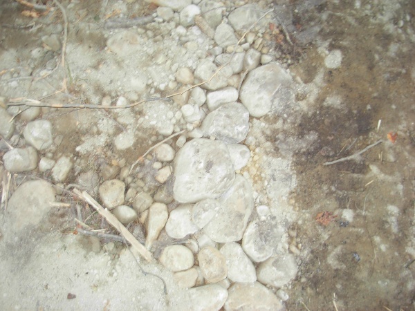 That is the stone I put in the ruts before I covered it all with fill I found in a nearby bank.