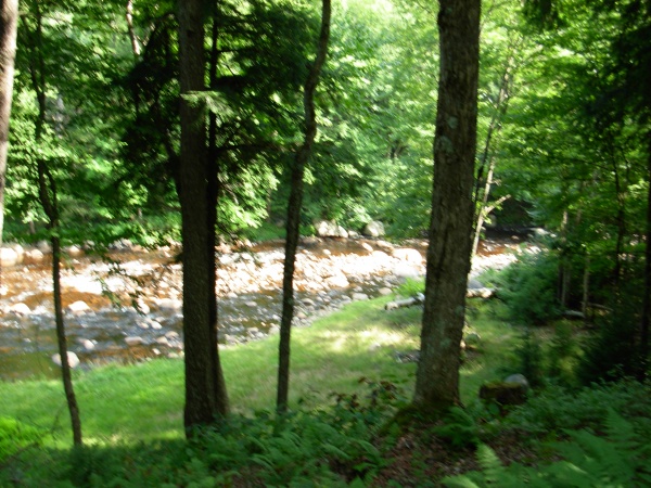 The Black River