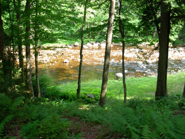 The Black River.