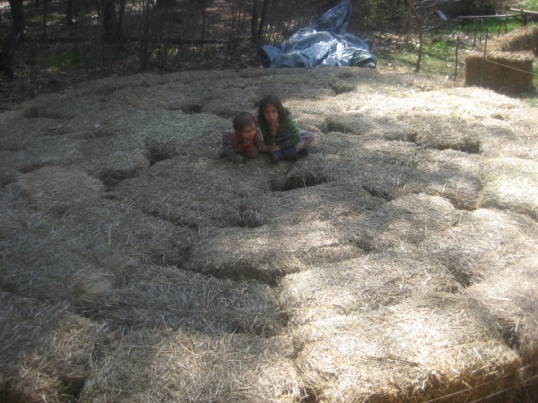 The kids helping us pack in the strawbales for the base