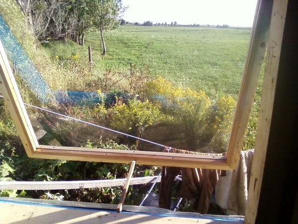 The view from my first new window.