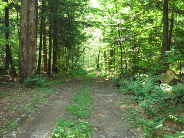 This is the road leading to my camp road.