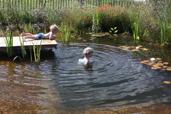 This natural plunge pool is something we will certainly have built.