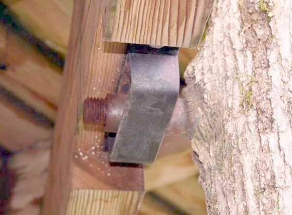 Treehouse attachment bolts w growth alowance