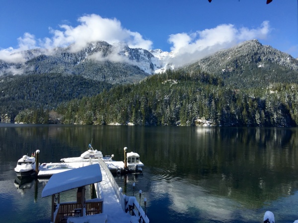 View from the yurt.