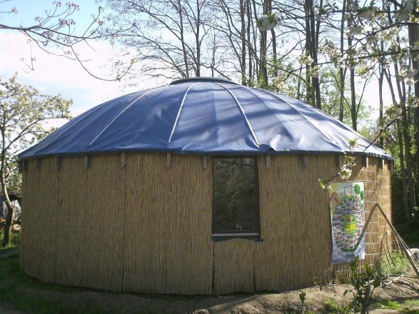 WaldschulY fert aussn