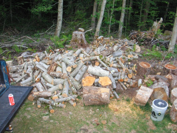 Working on the wood pile!