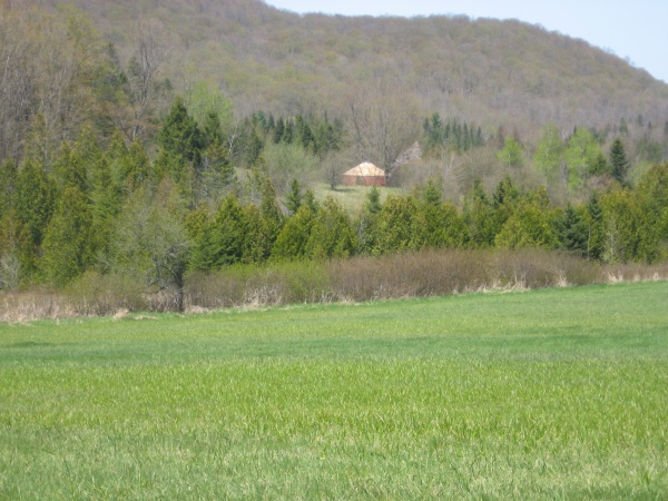 Yurt Finished shot from the road, this is the only location that the yurt can be seen from and later it disappeared when the trees got leaves.