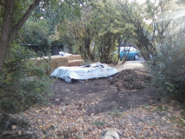 yurt site with bales & yurt on pallet.