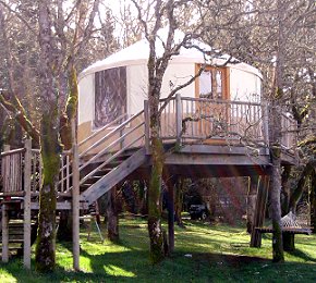 yurt tree house gust refuge