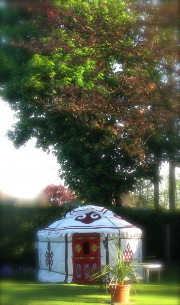 Yurtwithtalltree