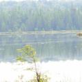 Stone Dam Lake, which is close to my camp.  You can see a beaver in the water on the left.