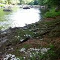 Here is where I swim and cool off.  This is the edge of my lot right on the Black River.  Not another human around for miles! :)