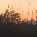 Denali 
The tallest mountain in North America. At midnight out our front door.