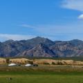 On the edge of the "Little Gobi".  Over grazing and deforestation are making this area expand, according to our guide.