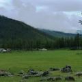 Yurts across a lush meadow.