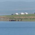 Yurts and horses on Lake Ugii's shore.