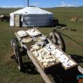 a few groovy yurts...