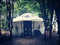 yoni yurt in the woods