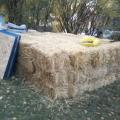 Stack of bales