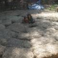 The kids helping us pack in the strawbales for the base