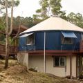 Umauma Yurt
