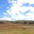 South Island of New Zealand, near Dunedin. I'm living here full-time on a farmer's hay-field. 2