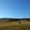 South Island of New Zealand, near Dunedin. I'm living here full-time on a farmer's hay-field.