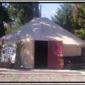 Buffalo Mountain Yurts